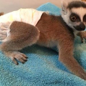 Meet your Posher, Todd